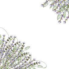 Hd blue square linkedin drawing icon png hd round linkedin black hand drawn icon png citypng provides millions of free high quality transparent images. Download Png Black And White Lilacs Drawing Hand Drawn Clipart Lavender Purple Flowers Png Image With No Background Pngkey Com