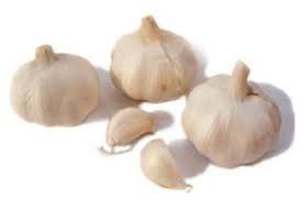 Image result for Garlic May Help Protect from Colon Cancer