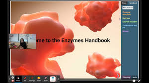 How would you communicate your design plans with the construction crew that would work on the. Enzyme Gizmo