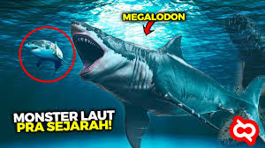 Makhluk laut terbesar di dunia. Megalodon Bukan Penguasa Lautan Ternyata Inilah Monster Bawah Laut Raksasa Paling Ganas Di Masanya Youtube