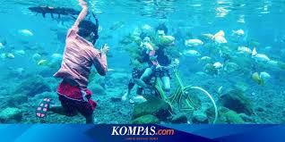 Tts umbul ponggok level 10. Siap Siap Semua Wisata Umbul Di Klaten Akan Buka Kembali Halaman All Kompas Com