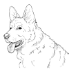 German shepherd dog coloring pages. 1