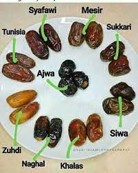Kurma (phoenix dactylifera) merupakan salah satu jenis tanaman yang termasuk dalam golongan translate the description into english (india) using google translate?translate the description back to tidak hanya untuk berbuka puasa, buah kurma ternyata juga baik untuk dikonsumsi setiap hari. Macam2 Nama Buah Kurma Steemit