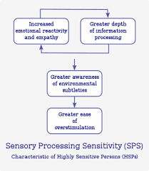 Download with google download with facebook. Sensory Processing Sensitivity Wikipedia