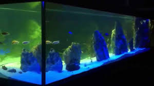 Mega Akwaria Argus Aqua Design Garden 695807066 Oswietlenie Led Nocne Youtube