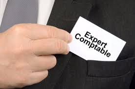 Le Metier D Expert Comptable