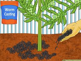 3 ways to fertilize a garden ly