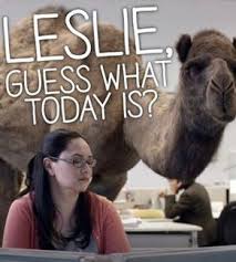 The hump day camel was a camel that looks similar to cameel habib habab and mistook him by some fans. Hump Day Commercial Gif Memes Gifs Images