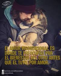 Amor Incondicional Amor De Perro Mascotas Frases Amor Incondicional