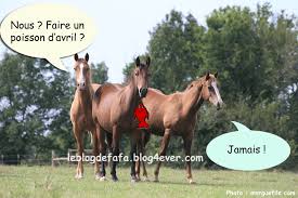 En écoutant la radio, en regardant la télévision ou en lisant les journaux, vous verrez forcément un. Blague Poisson D Avril En Image De Chevaux Le Blog Des Fans De Poneys Et De Chevaux