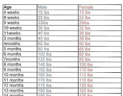 Female Rottweiler Growth Chart Fuchs Oil Equivalent Chart