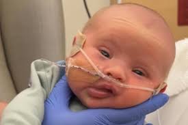 Fundraiser for River Hagen by Robin Jacobson : Please help Baby Remy