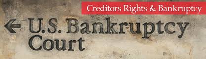 For individuals, the case is usually filed in the district where the borrower lives. Florida Business Lawyer Miami Corporate Attorney Assouline Berlowe