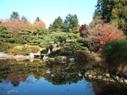 Hamburg hat in dieser hinsicht einiges zu bieten. Japanischer Garten Bild Botanischer Garten Klein Flottbek In Hamburg