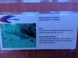 Vergelijk hotels, hostels en b&b's inclusief foto's, beoordelingen en prijzen en kies de beste hotel bekijk onze speciaal samengestelde selectie port dickson hotelaanbiedingen onderaan, of gebruik de zoekbalk bovenaan en vul je reisdatums in. Pergi Pusat Ikan Hiasan Port Dickson Cerita Ceriti Ceritu Mamapipie