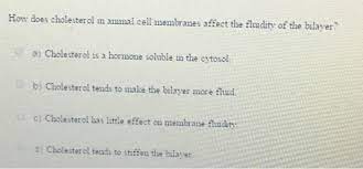 Animal cells come in all kinds of shapes and sizes, with their size ranging from a few millimeters to micrometers. How Does Cholesterol M Animal Cell Membranes Affect Chegg Com