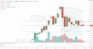 About the virgin galactic holdings, inc. Stem Stock Could Be The Next Big Thing Stansberry Investor
