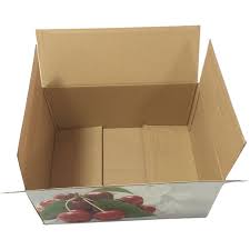 Silver Dry Fruit Box Dry Fruit Box Vegetable Packaging Fruit Box