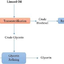 Flow Diagram Of Production Of Biodiesel From Linseed Oil