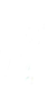 Click your profile picture, then click settings.; Plain White Background For Zoom Indoor Plant On Wooden Floor With White Wall Background In