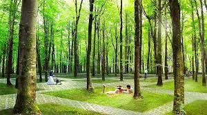 fantasy becomes reality in planned turkish park gearjunkie park park pictures landscape