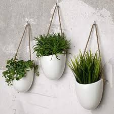 We did not find results for: Fioriere Da Appendere Grandi Sconti Fioriere Da Esterno Legno Plastica Resina