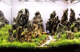 Ohko Dragon Stone Rock Ada Aquarium Tropical Fish Plant Shrimp Driftwood Fish Plants Aquarium Driftwood Fresh Water Fish Tank