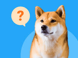 Newborn birth certificates are not automatically mailed to parents. Oyen Malaysia S Best Pet Health Insurance