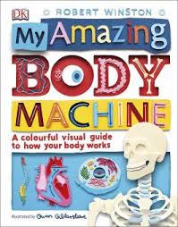 Parts Of The Body Explained For Children Body And Organs