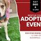 Adopt a Rescue Dog in Bloomfield CT - Dog Star Rescue, 12 Tobey Rd Event Image