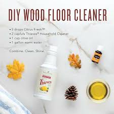 22 frugal diy homemade floor cleaners