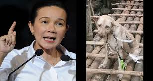 Grace Poe Calls