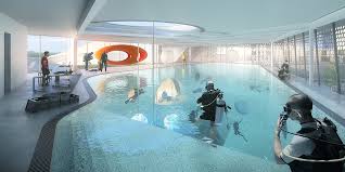 La Metropole Europeenne De Lille Grands Projets La Future Piscine Olympique Metropolitaine