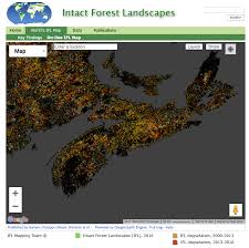 But on the federal campaign trail, the. Keeping Track Nova Scotia Forest Notes