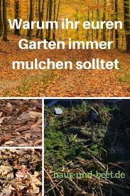 Warum Ihr Euren Garten Immer Mulchen Solltet Mulchen Gemusegarten Tipps Selbstversorger Garten