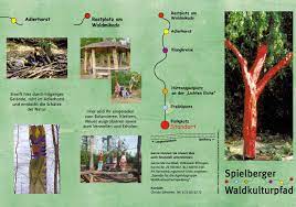 Der waldkulturpfad beginnt am ortsausgang von spielberg in richtung langensteinbach. Spielberger Waldkulturpfad By Albtal Tourismusgemeinschaft Issuu