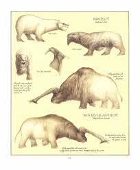 Dougal Dixon After Man A Zoology Of The Future Pdf Zoology Dixon Man