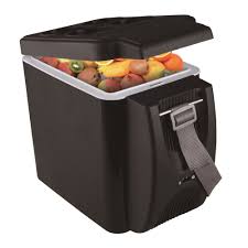 icepeak oto buzdolabi 12v ly0506 6 lt vatan bilgisayar