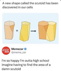 Meme for mathematicians