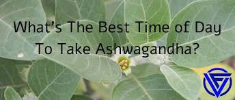 Maybe you would like to learn more about one of these? Ashwagandha Timing Should You Take It In The Morning Or Night