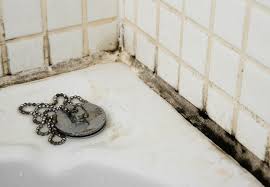 Solved What To Do About Black Mold In The Bathroom Mold In Bathroom Remove Black Mold Shower Mold