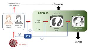 Maybe you would like to learn more about one of these? Inhaled Corticosteroids And Covid 19 A Systematic Review And Clinical Perspective European Respiratory Society