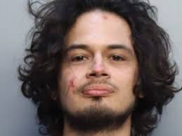 Florida man bites off pet python snake's head in domestic dispute: police