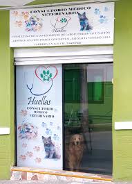 Huellas Consultorio Veterinario