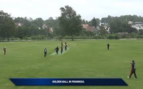 Explaining The Golden Ball Concept In Ecs T10 With vocab, example sentences and quiz. the golden ball concept in ecs t10