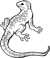 Use our zoo animal printables or word wall cards, and place the animals on the board. Free Printable Lizard Coloring Pages For Kids