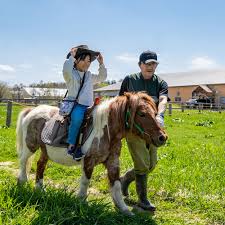 ふれあい牧場 | ファームズ千代田
