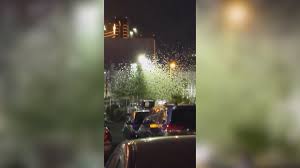 Grasshopper invasion in Las Vegas is so big it shows up on weather radar -  The Washington Post