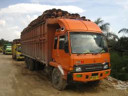 Image result for truk modifikasi sakera