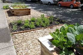 Wallingford Vegetable Beds Erin Lau Design Seattle Burien Renton Landscape And Garden Design Permacul Traditional Landscape Vegetable Beds Raised Plants